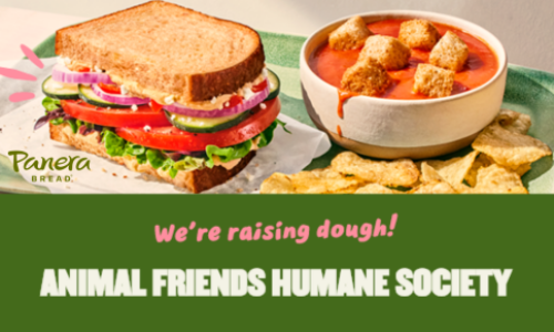 Panera Dine & Donate